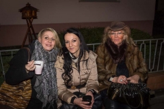 gluehweinfest2015-31