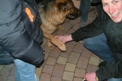 n_DSCF0043
